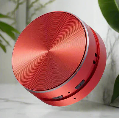 Bone Conduction Speaker